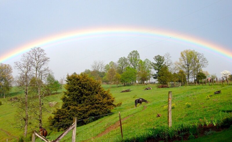 Rainbow over a green pasture
