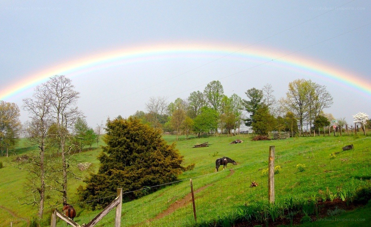 Rainbow over a green pasture