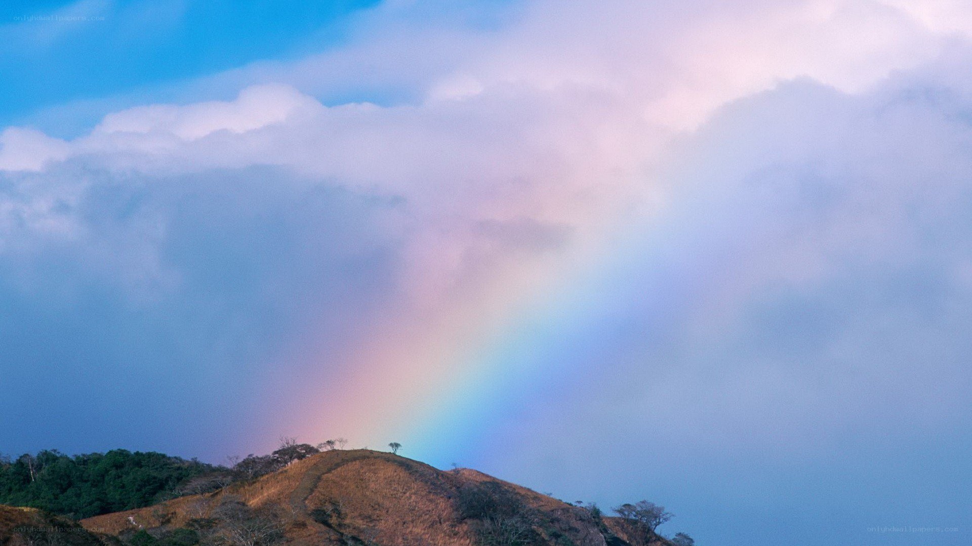 Rainbow over a hill