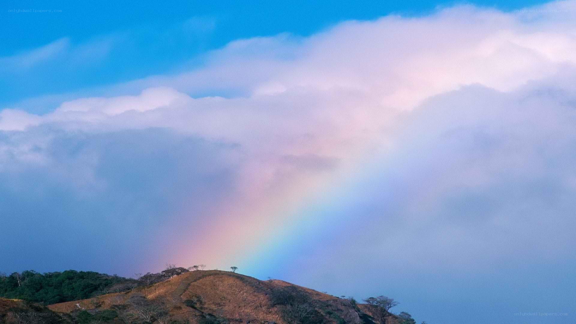 Rainbow over a hilltop