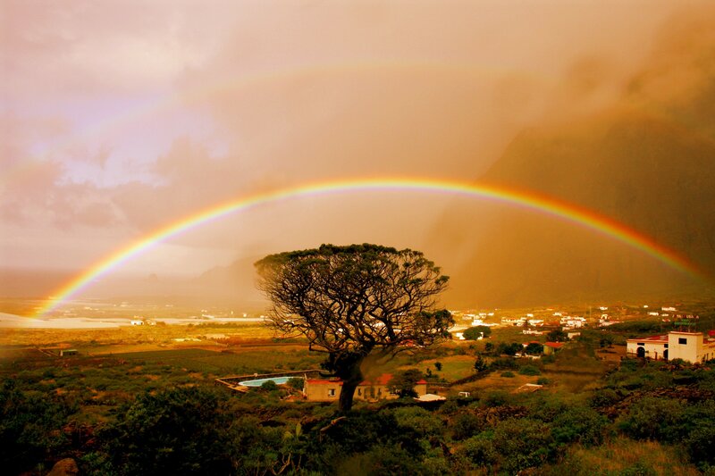 Rainbow over a lone tree