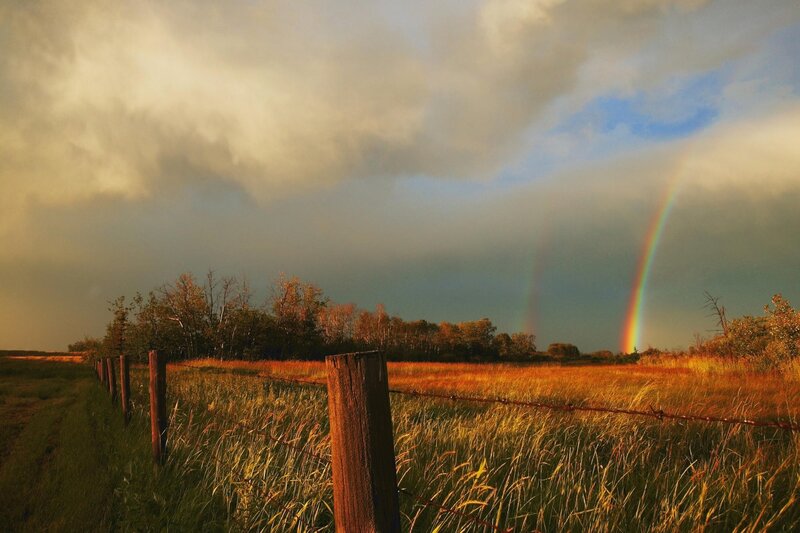 Rainbow over a rural field