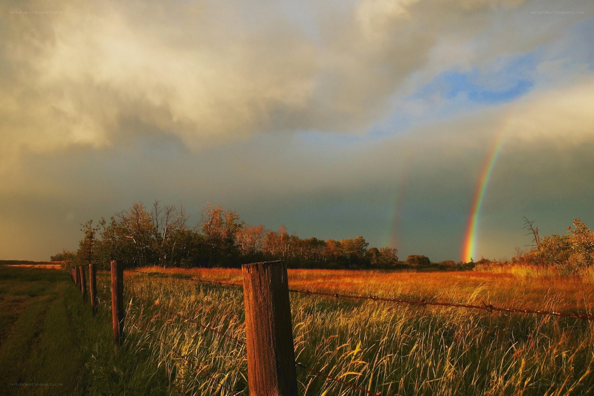 Rainbow over a rural field
