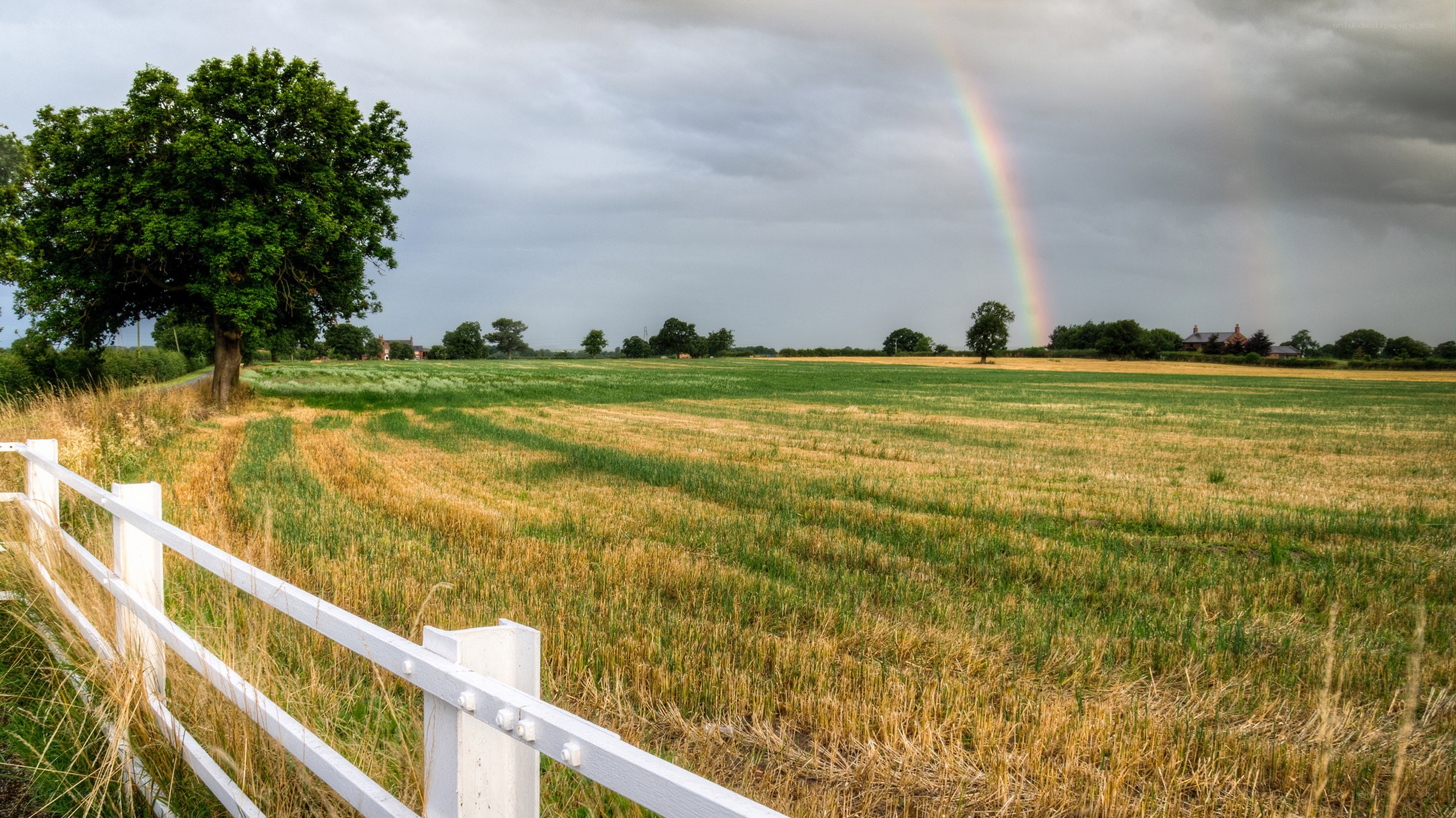Rainbow over a rural field