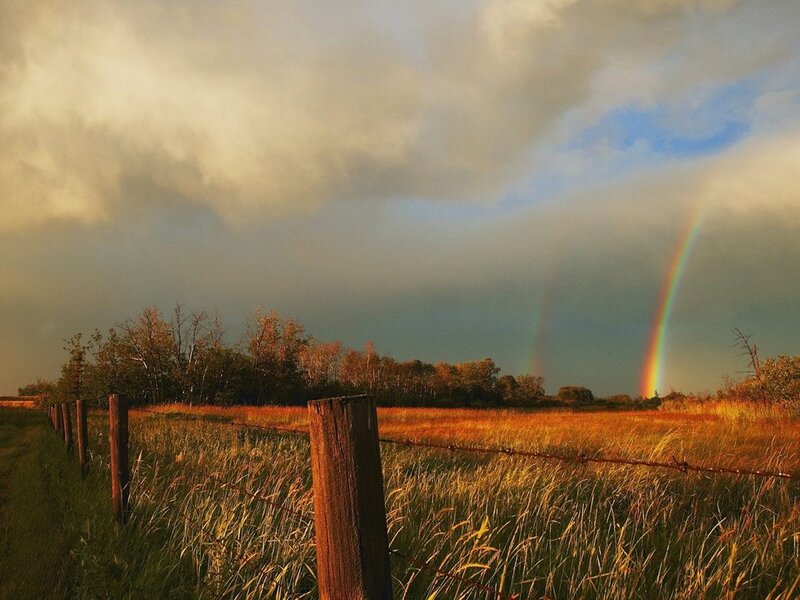 Rainbow over a rural field