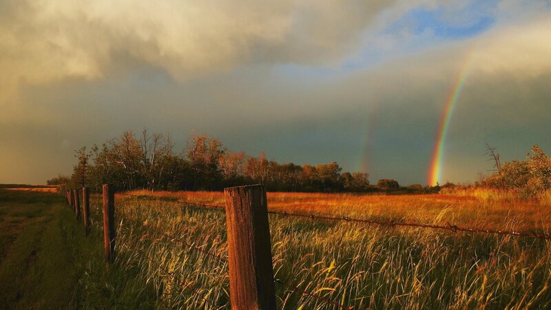 Rainbow over a rural field