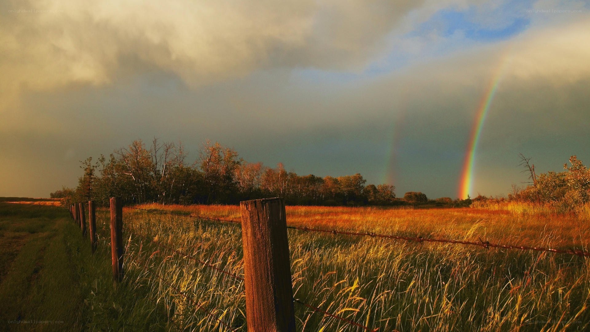 Rainbow over a rural field