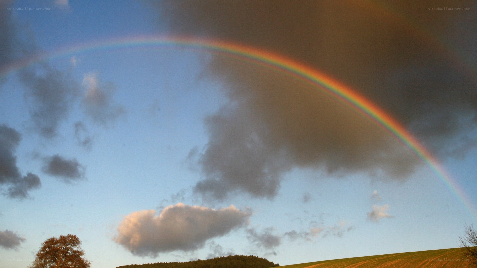 Rainbow over a rural landscape