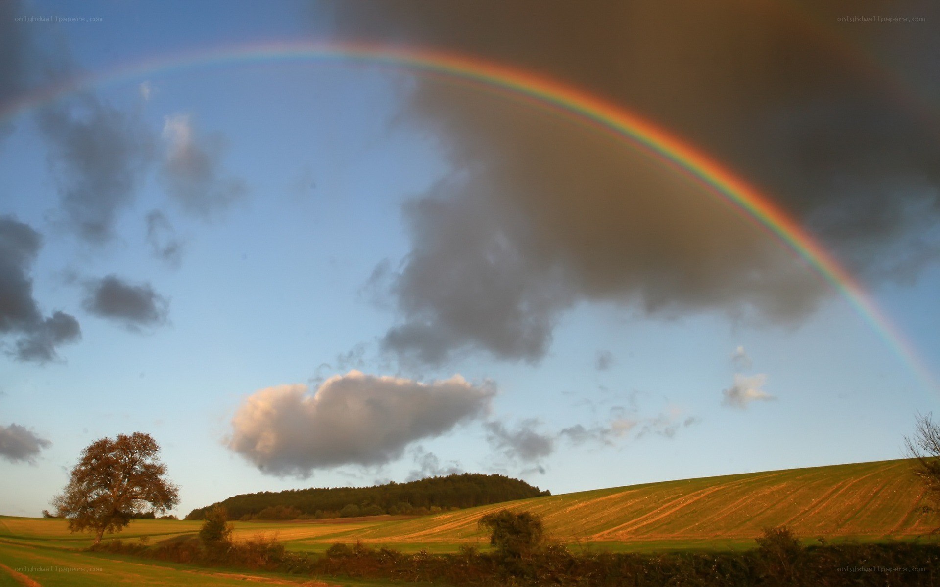 Rainbow over a rural landscape