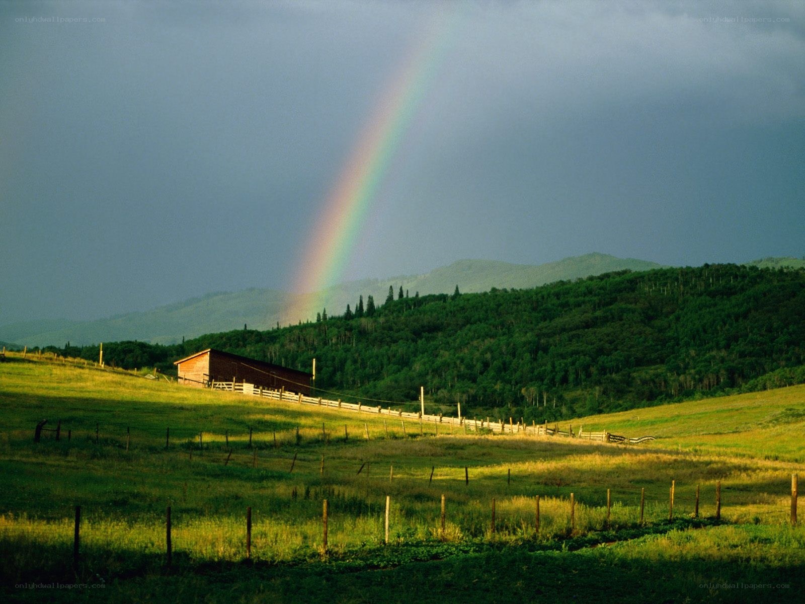 Rainbow over a rural landscape