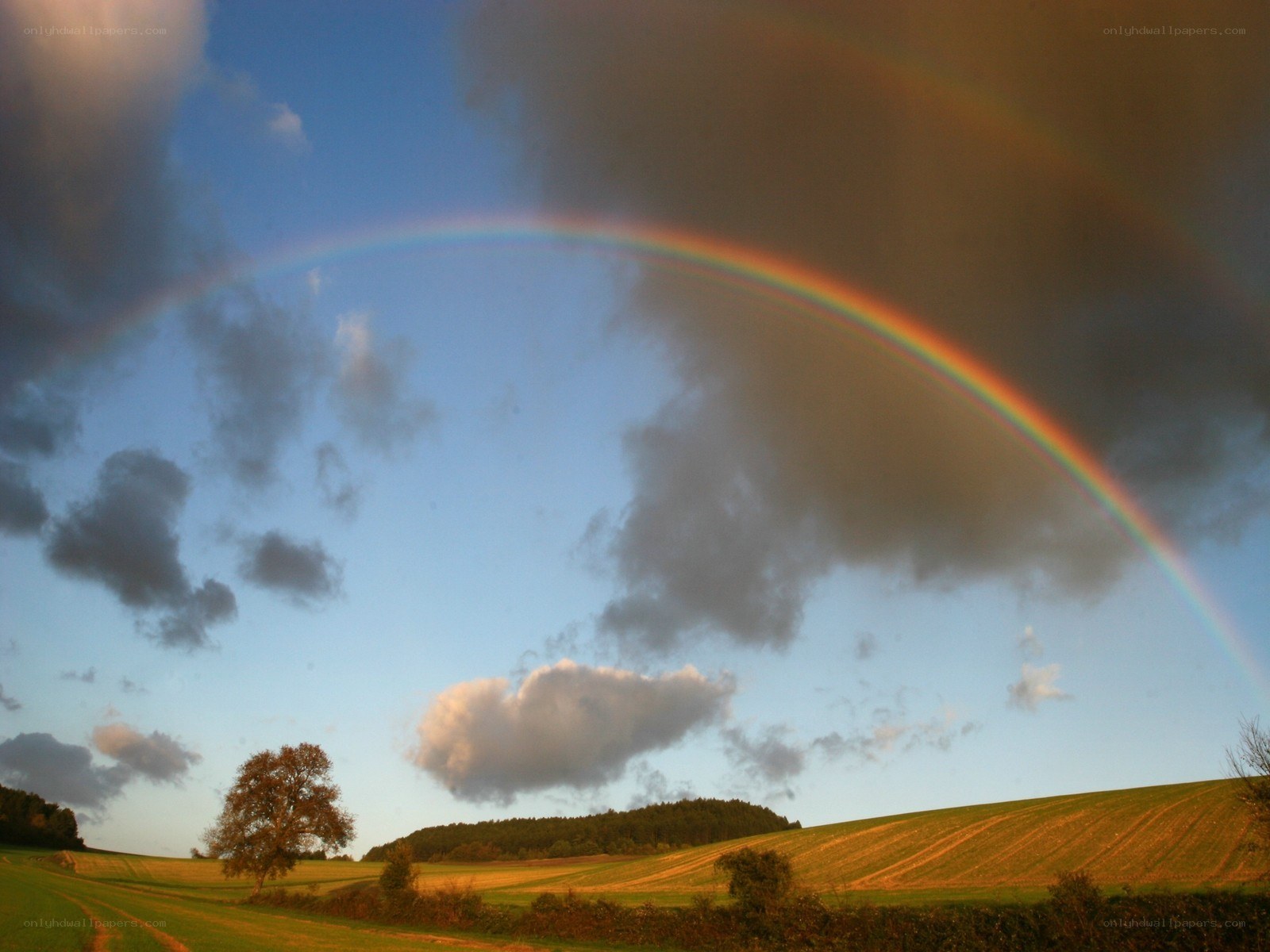 Rainbow over a rural landscape