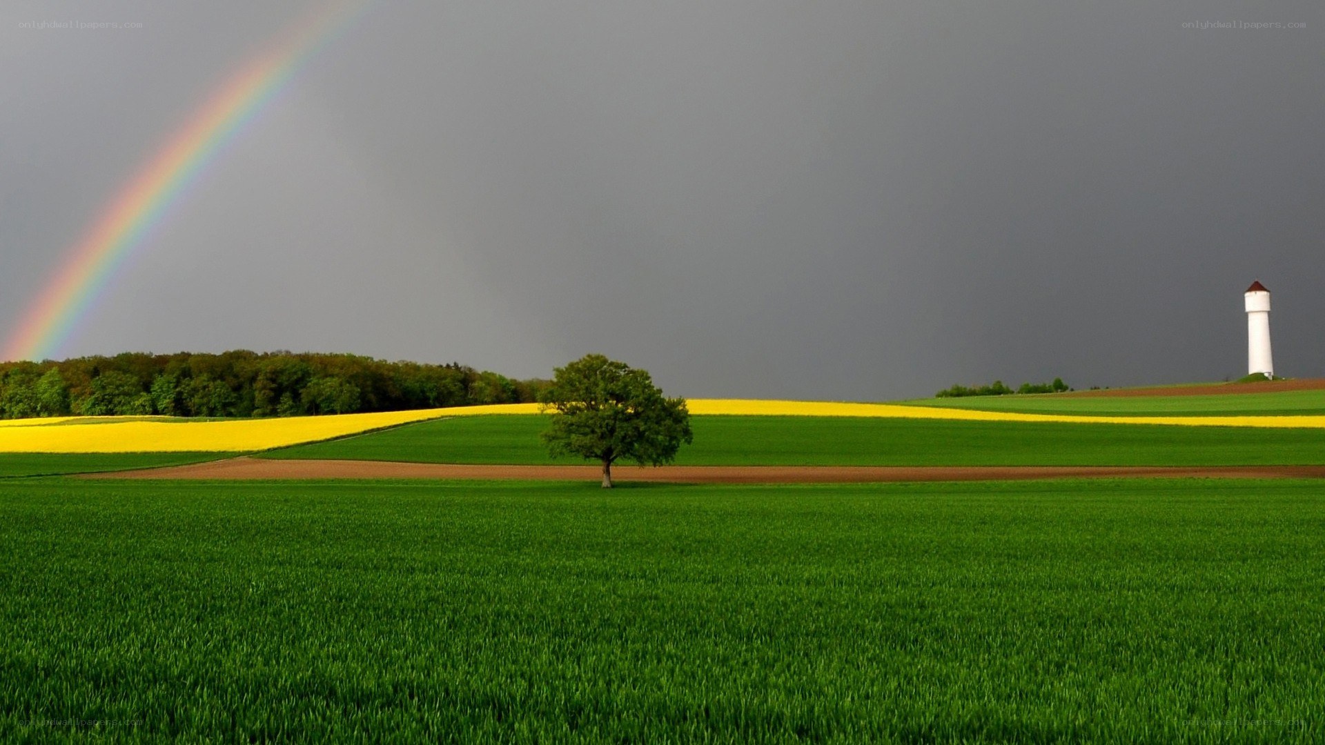 Rainbow over a rural landscape