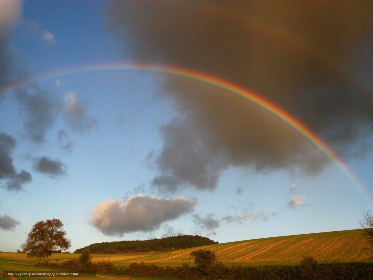 Rainbow over a rural landscape