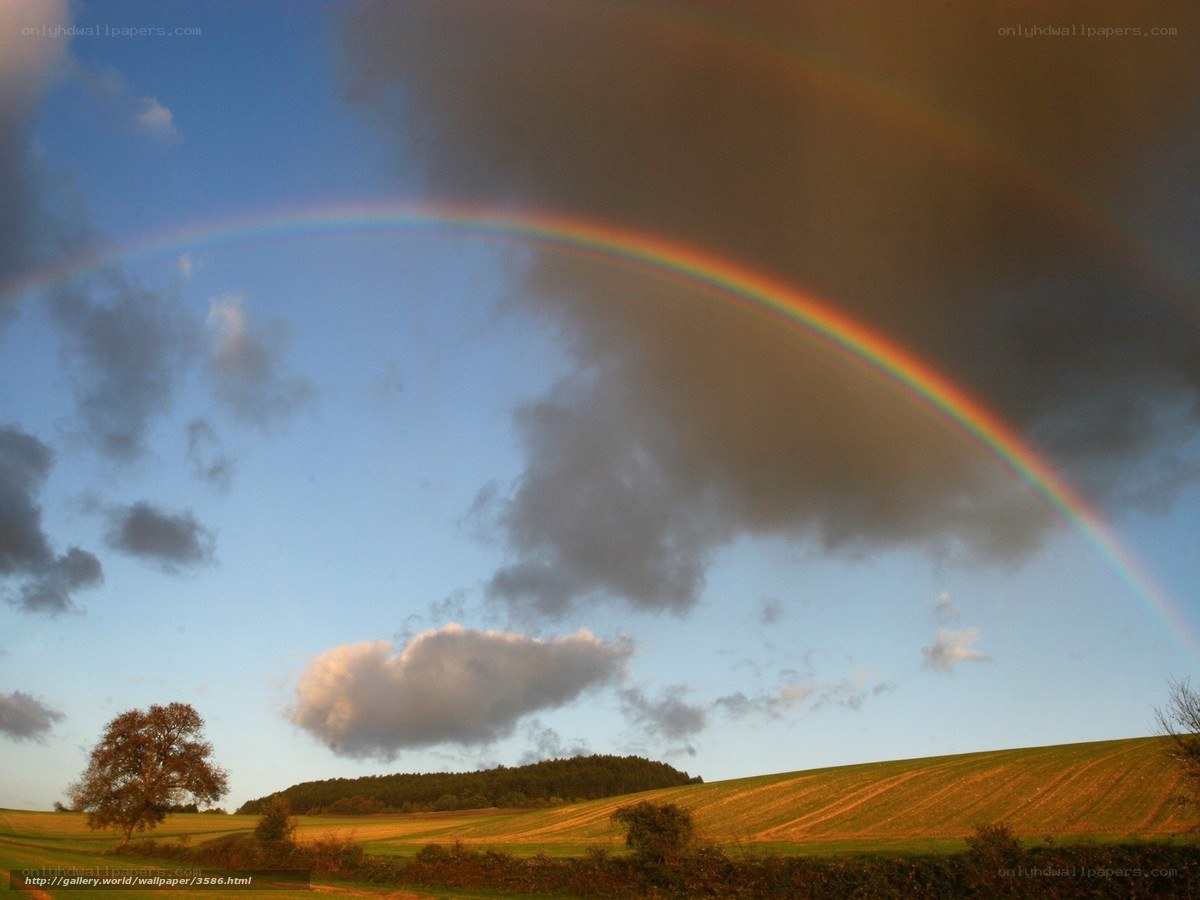 Rainbow over a rural landscape