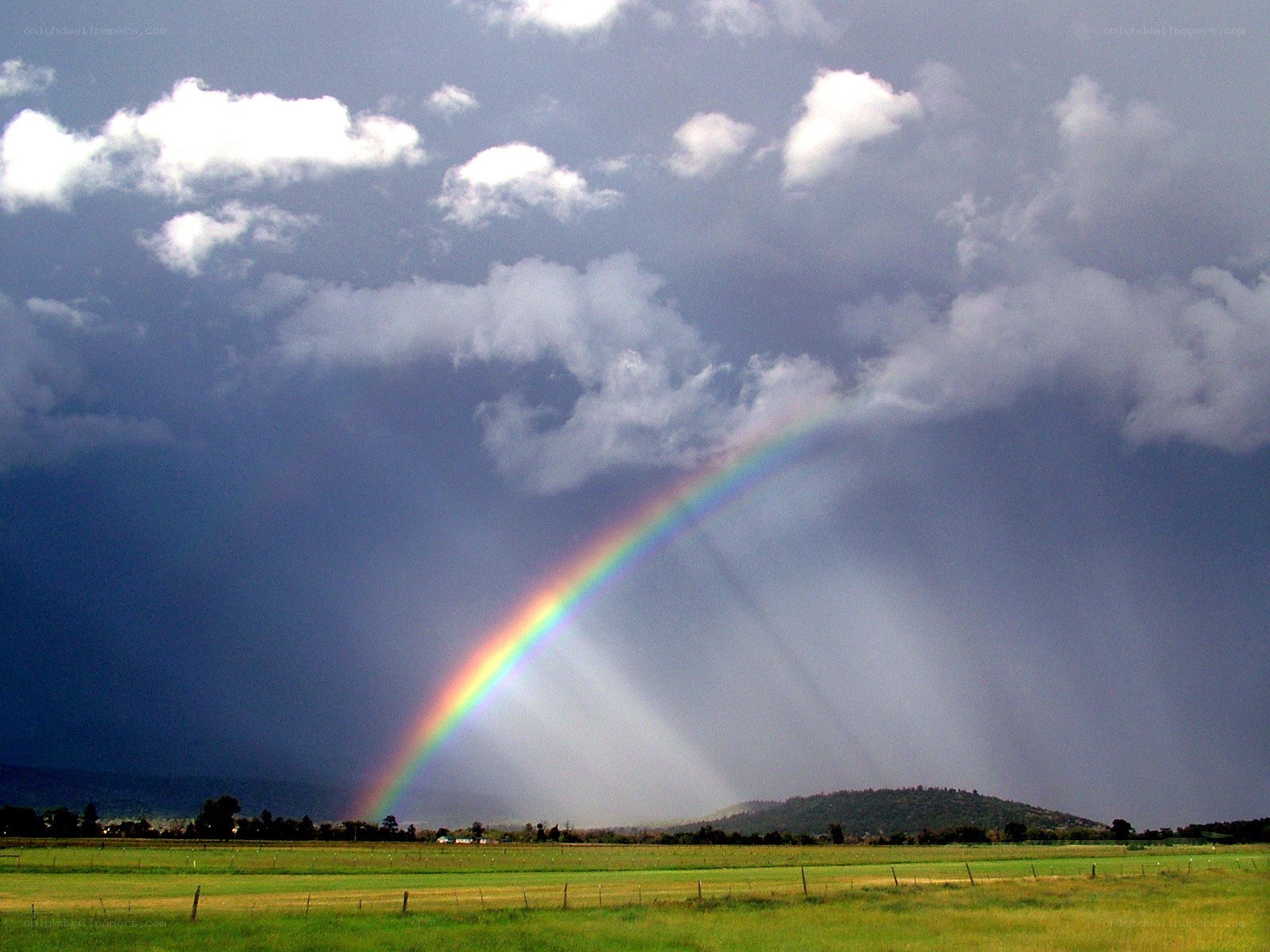 Rainbow over a stormy field