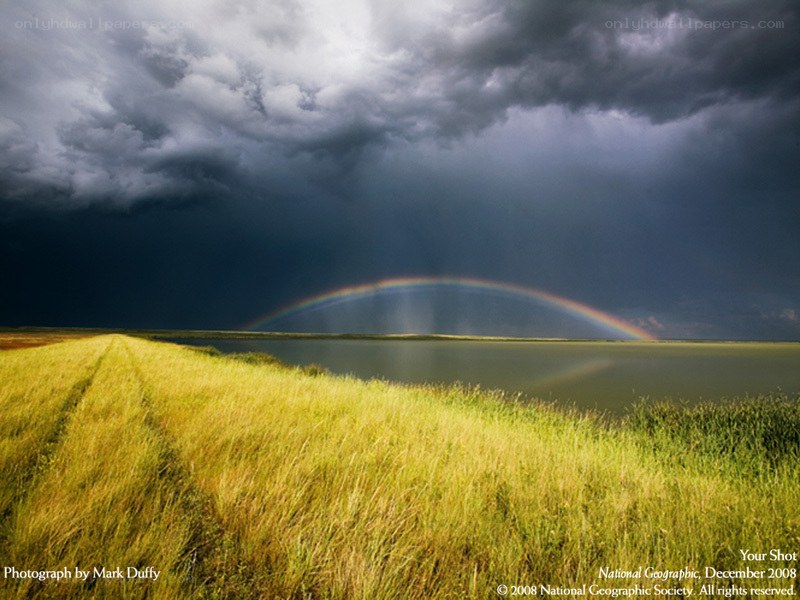 Rainbow over a stormy field