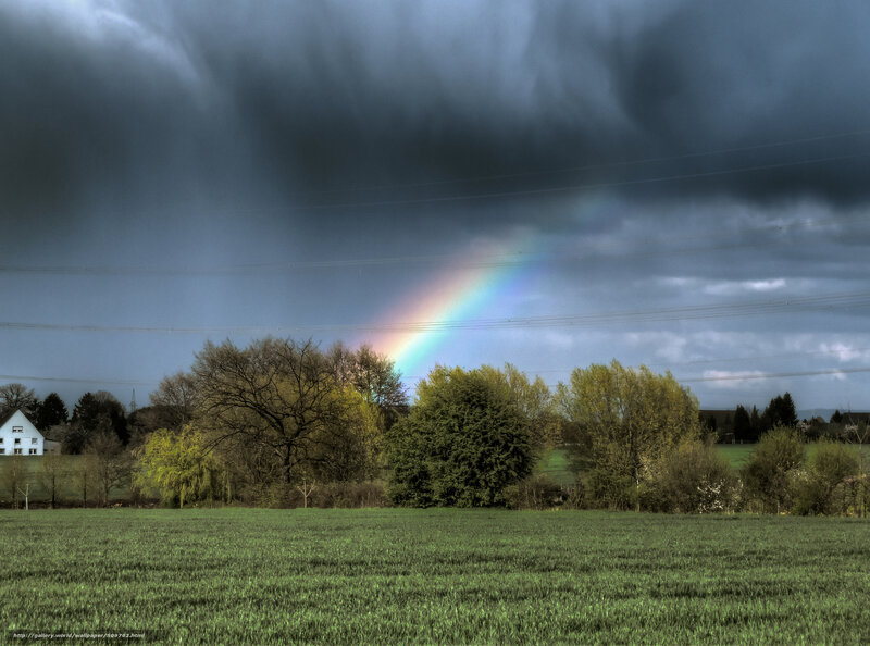 Rainbow over a stormy field