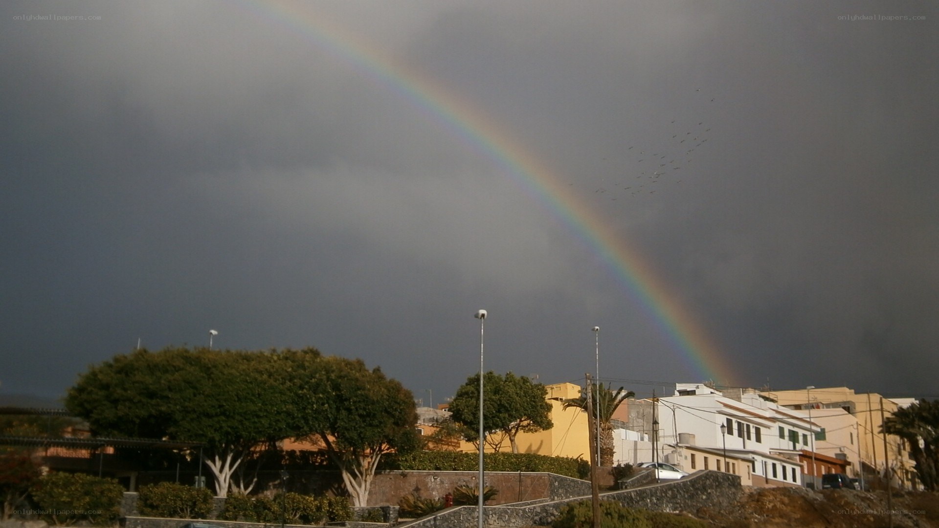 Rainbow over a town