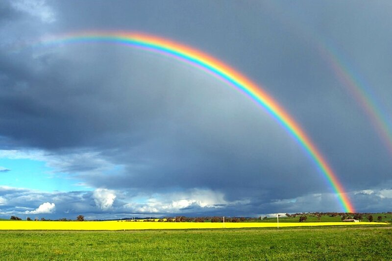 Rainbow over a yellow field