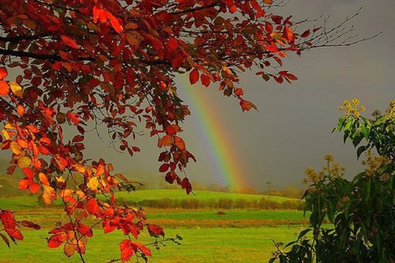 Rainbow over Autumn Field — Red