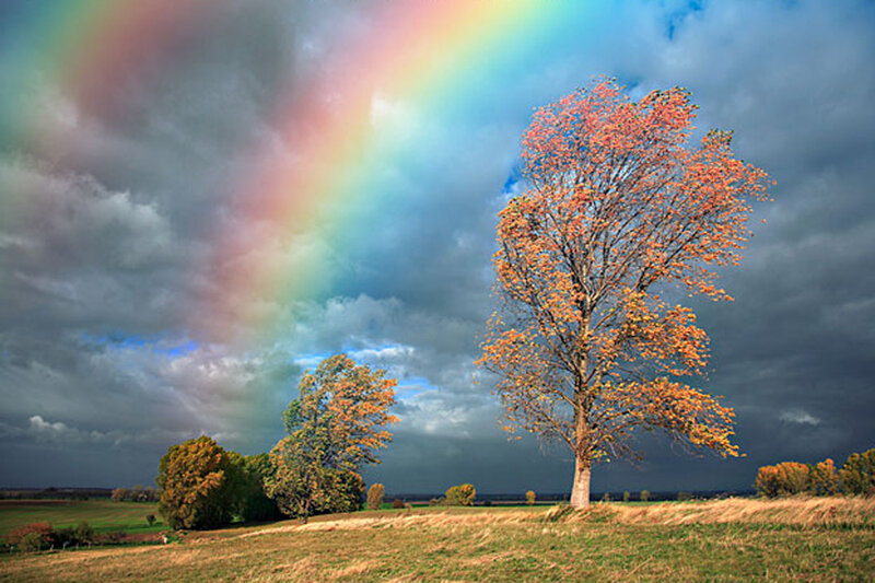 Rainbow over autumn field