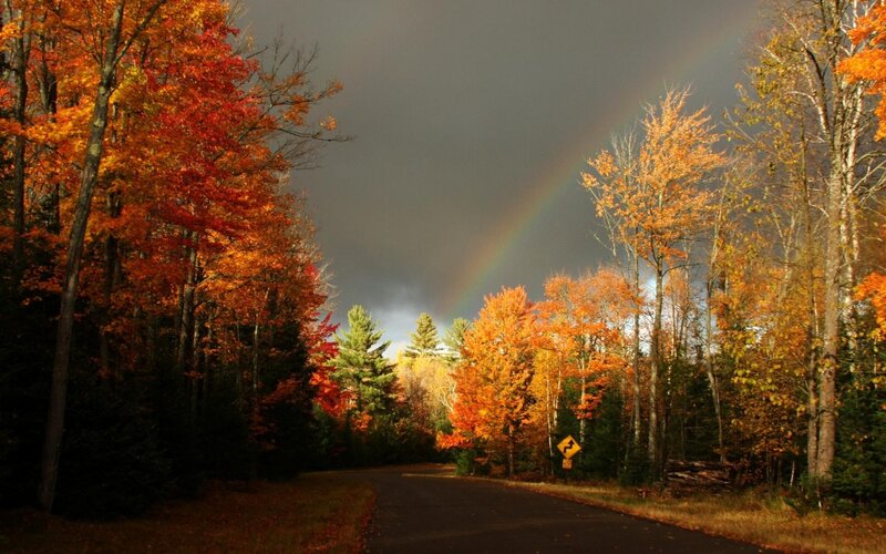 Rainbow over Autumn Road — Orange, Dramatic, Photograph