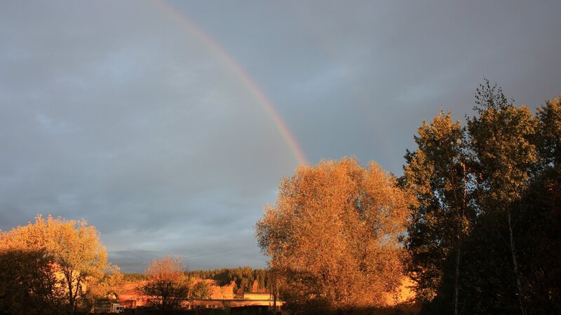 Rainbow over autumn trees