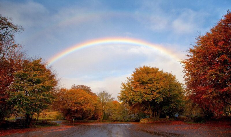 Rainbow over Autumn Trees — Blue, Serene, Photograph