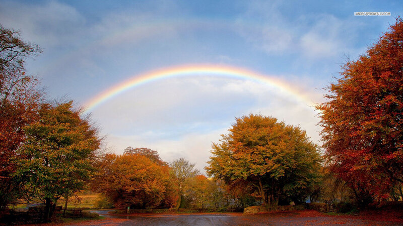 Rainbow over Autumn Trees — Blue, Serene