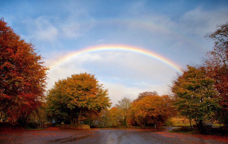 Rainbow over Autumn Trees — Blue