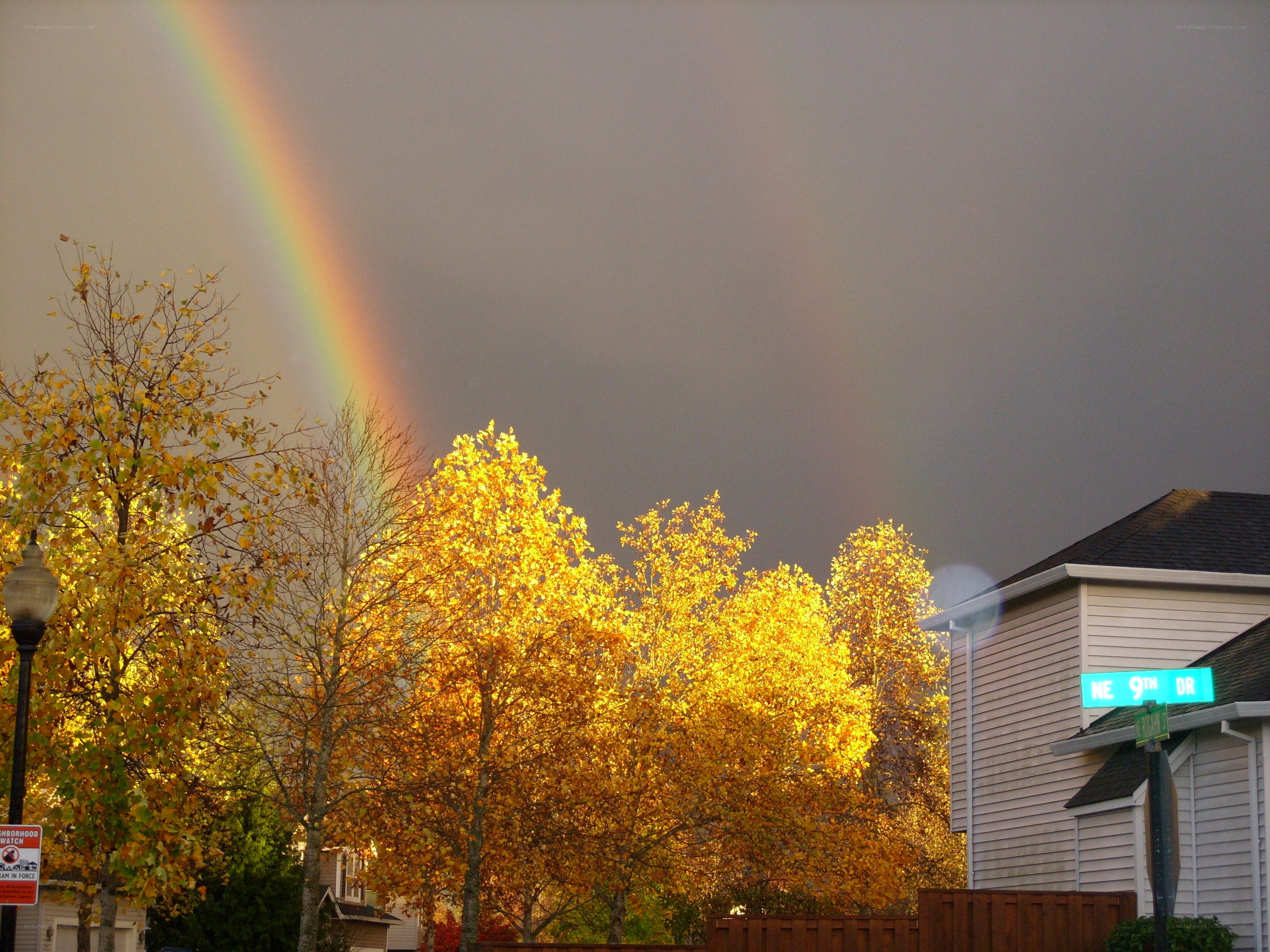 Rainbow over autumn trees