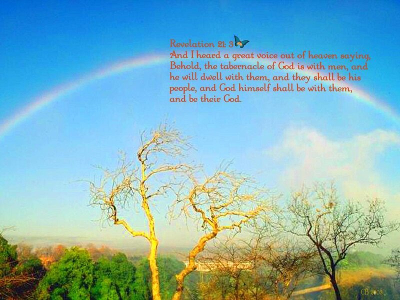Rainbow over Bare Trees — Blue