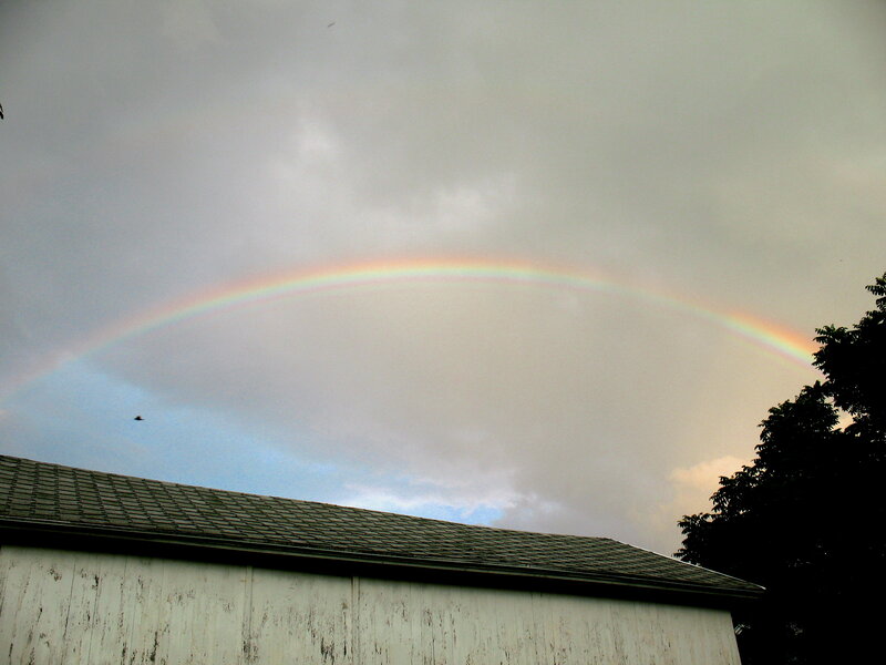 Rainbow over Barn — Gray