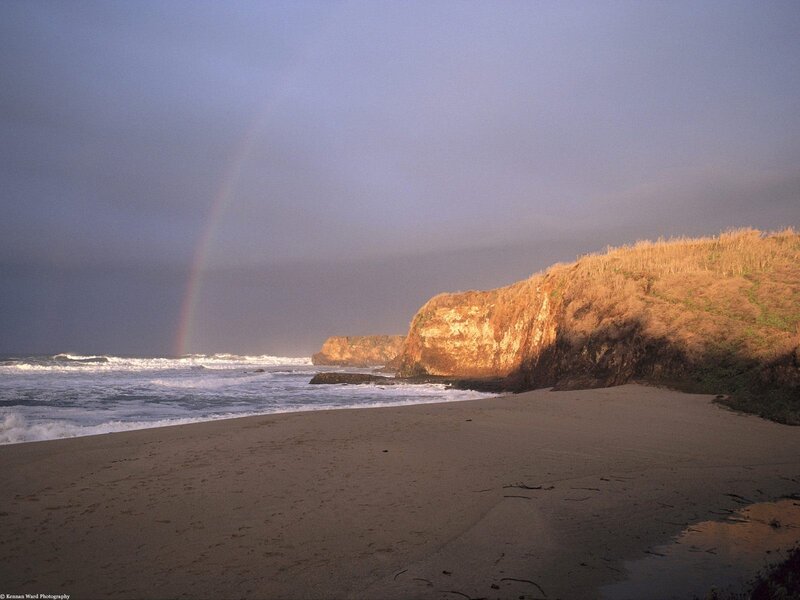 Rainbow over Beach — Gray