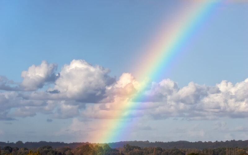 Rainbow over clouds and trees