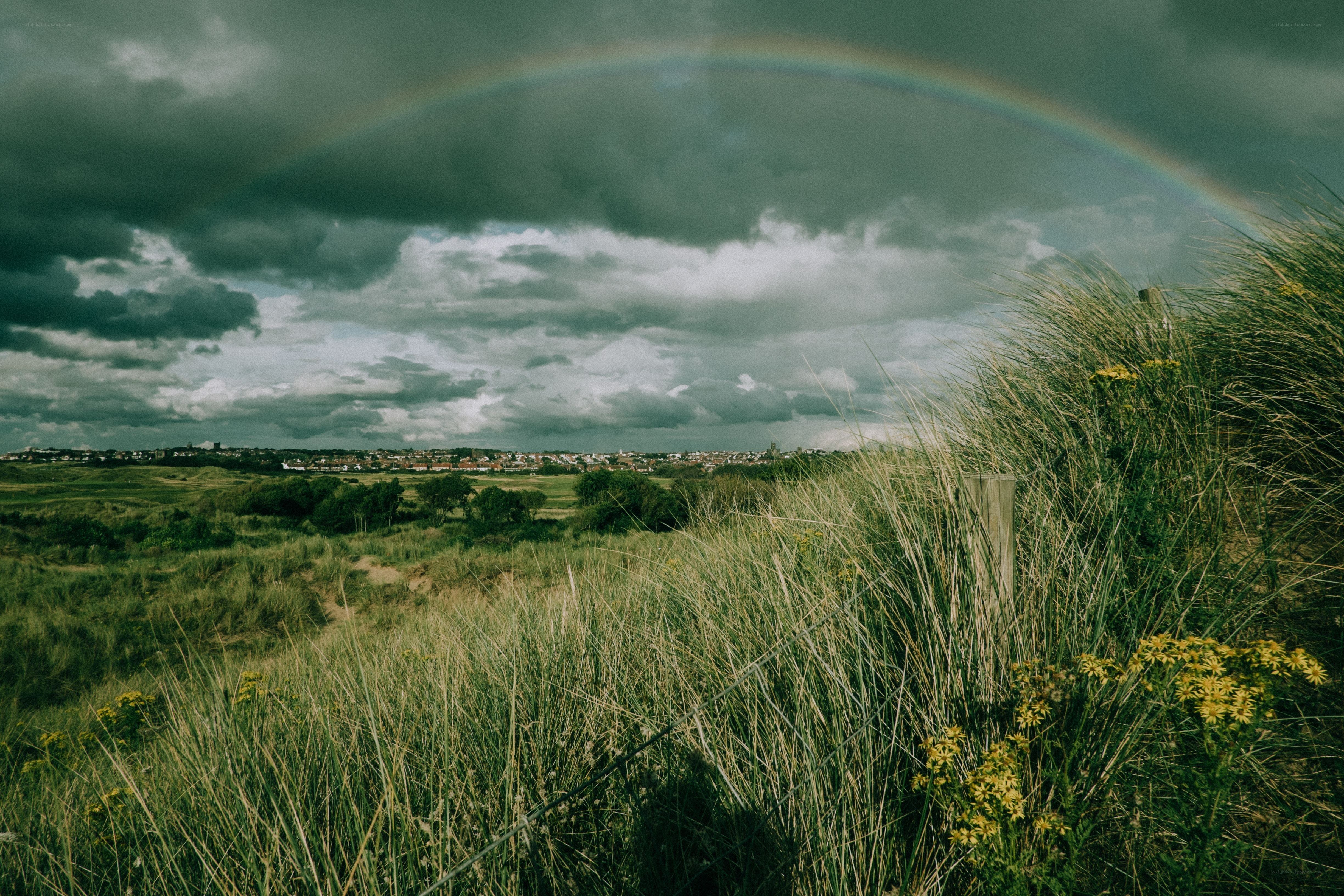 Rainbow over coastal dunes
