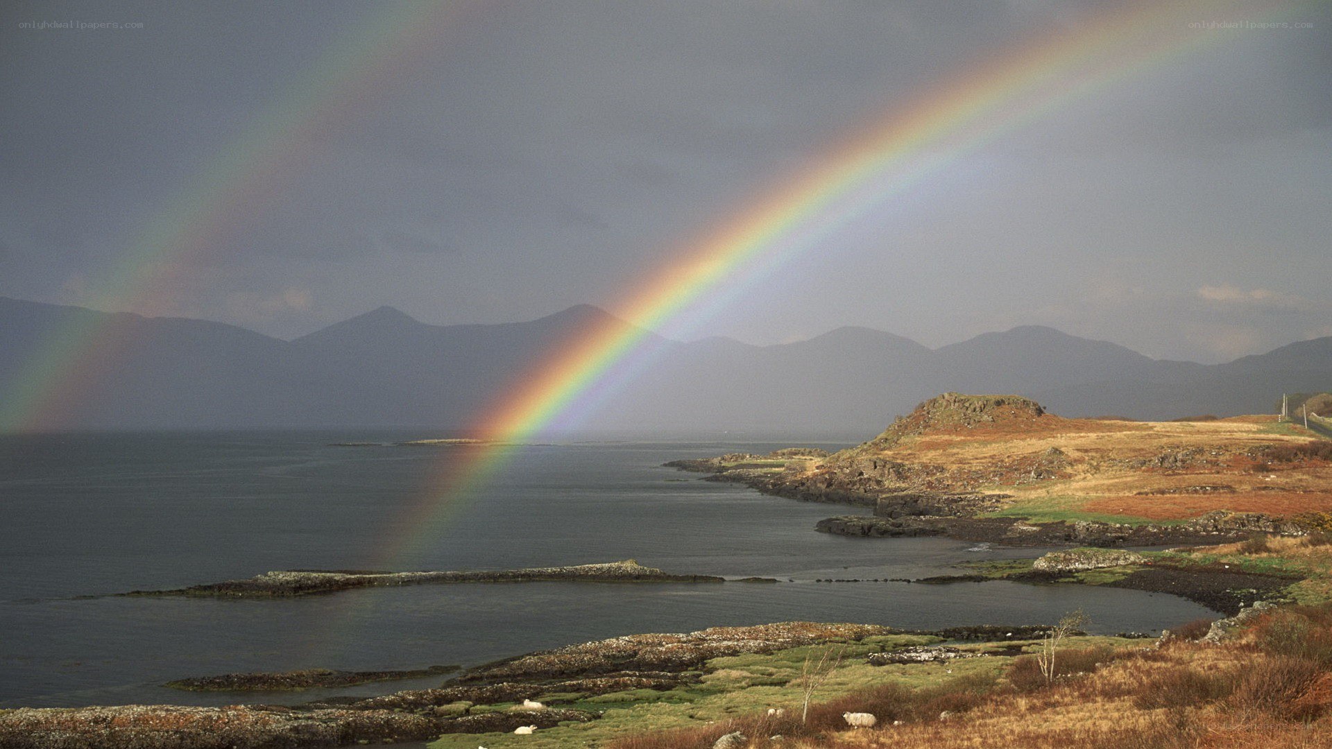 Rainbow over coastal landscape