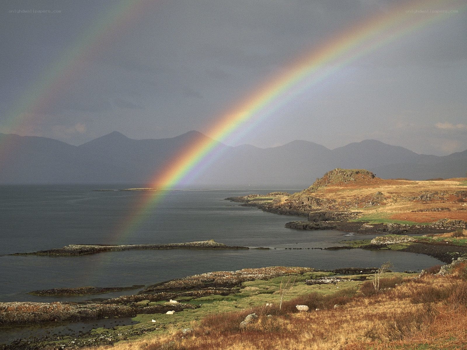 Rainbow over coastal landscape