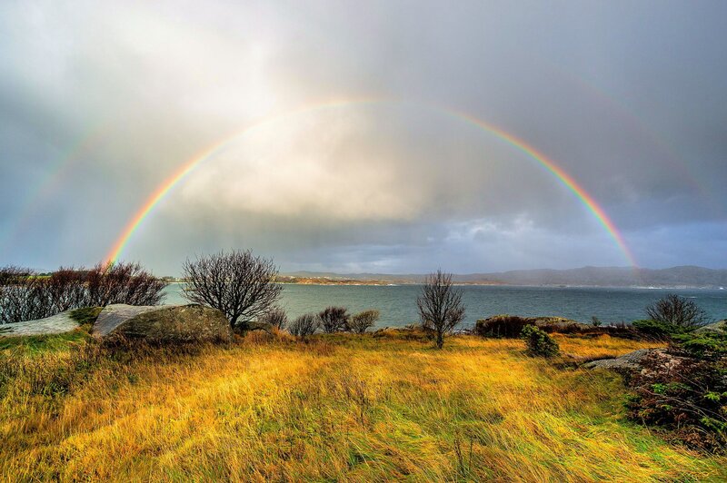 Rainbow over Coastal Landscape — Yellow
