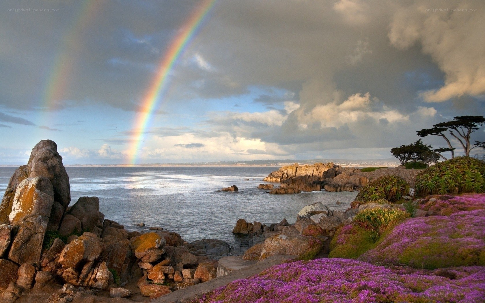Rainbow over coastal rocks
