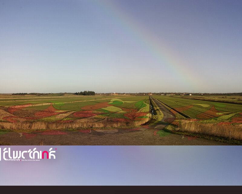 Rainbow over crop art fields