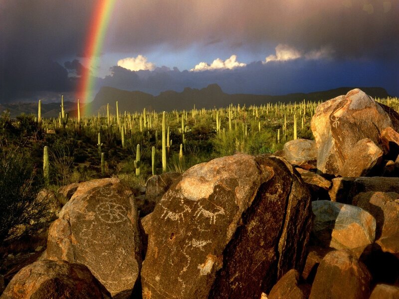 Rainbow over desert cacti