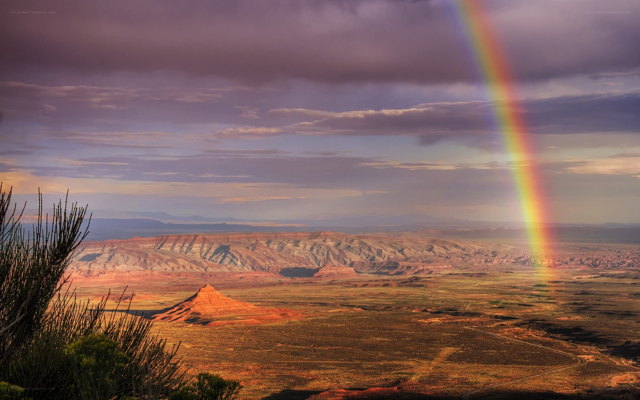 Rainbow over desert canyon