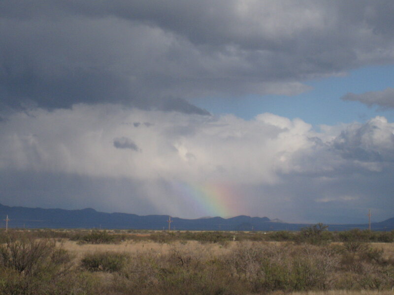 Rainbow over Desert — Gray