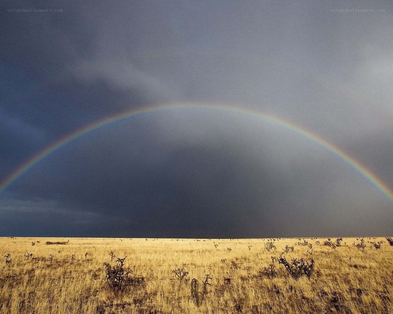 Rainbow over desert landscape