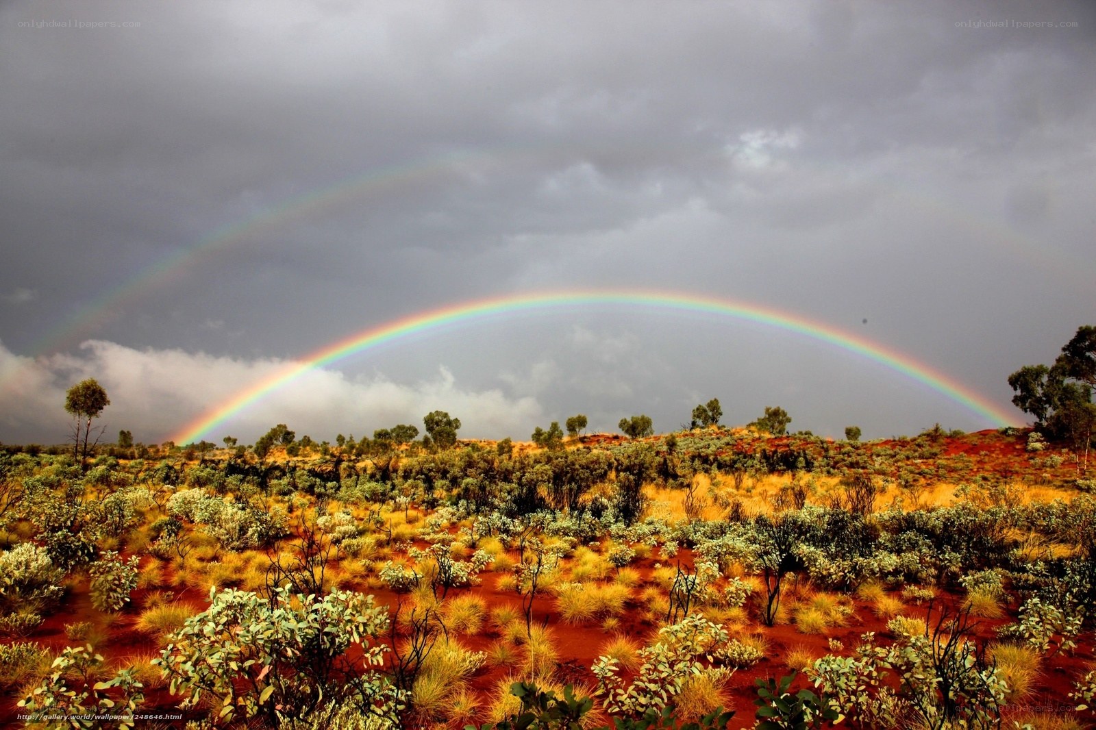Rainbow over desert landscape