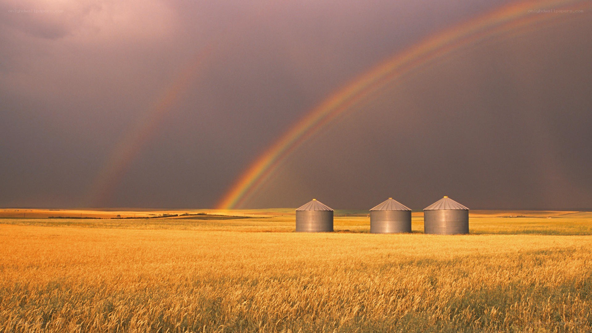Rainbow over farm silos