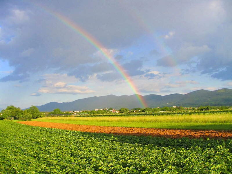 Rainbow over Farmland — Green