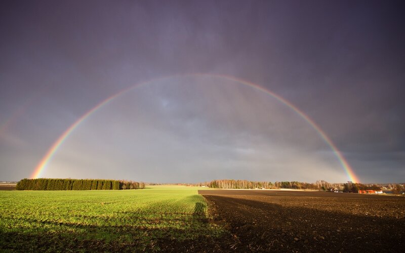 Rainbow over farmland