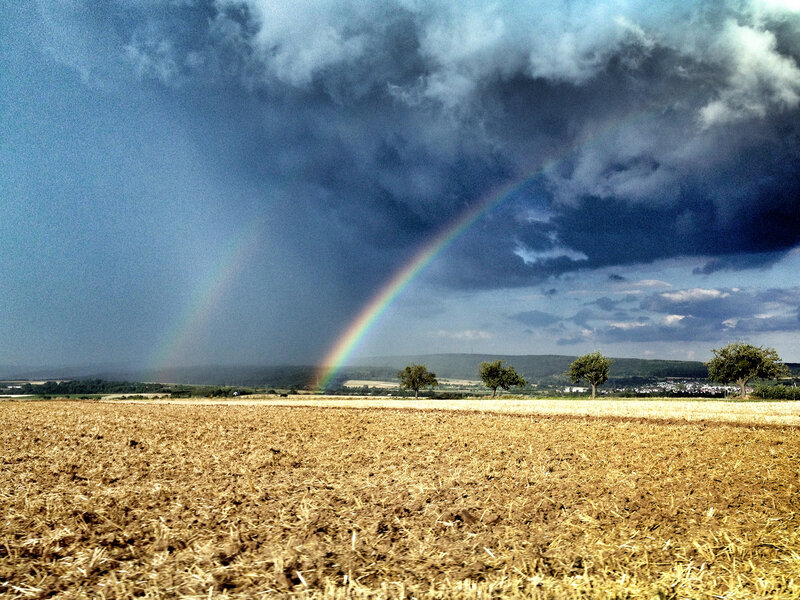 Rainbow over Field — Brown